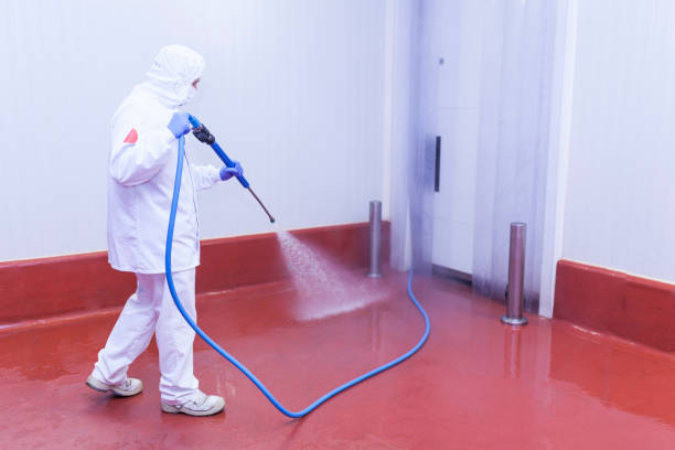 Kensington, CA Pressure Washing Services Company